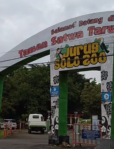 Sewa Mobil Dari Surabaya Ke Kebun Binatang Jurug Solo