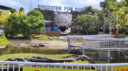 Sewa Hiace Ke Predator Fun Park Batu